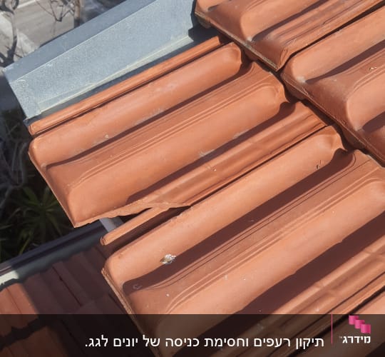 רעפים על גג עם סימני לשלשת יונים
